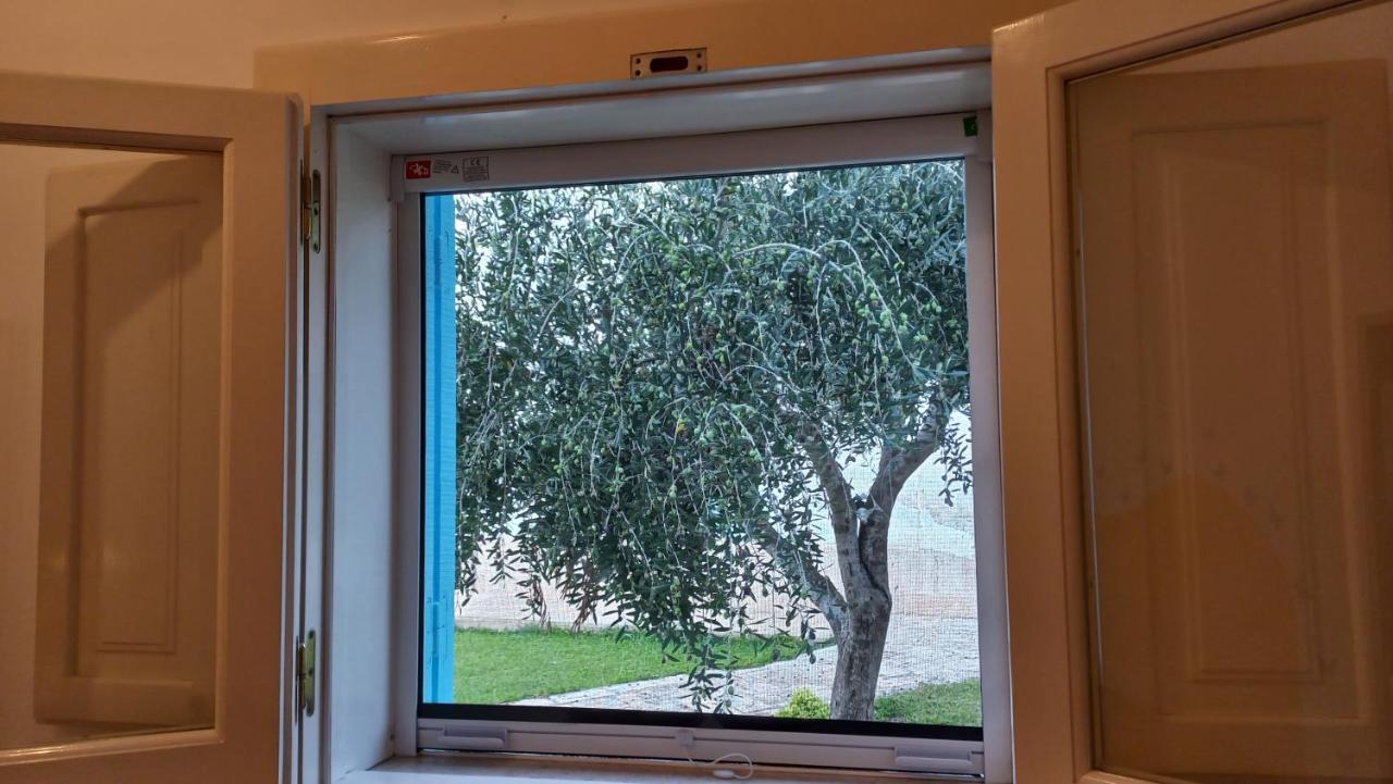 Villino Tronchetto Bianco Bed & Breakfast Mola di Bari Luaran gambar