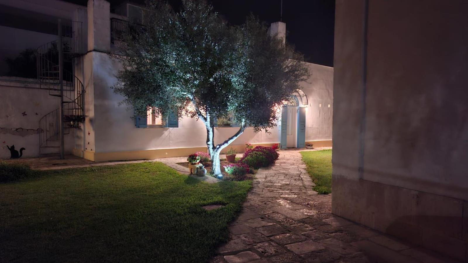 Villino Tronchetto Bianco Bed & Breakfast Mola di Bari Luaran gambar